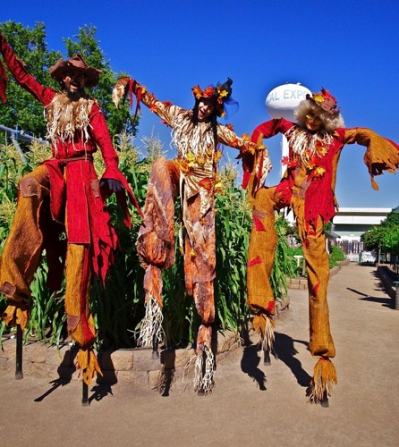 California State Faircrows